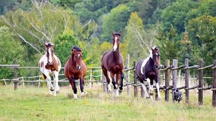 Podkrovi S Koupelnou Svinarov Esterno foto