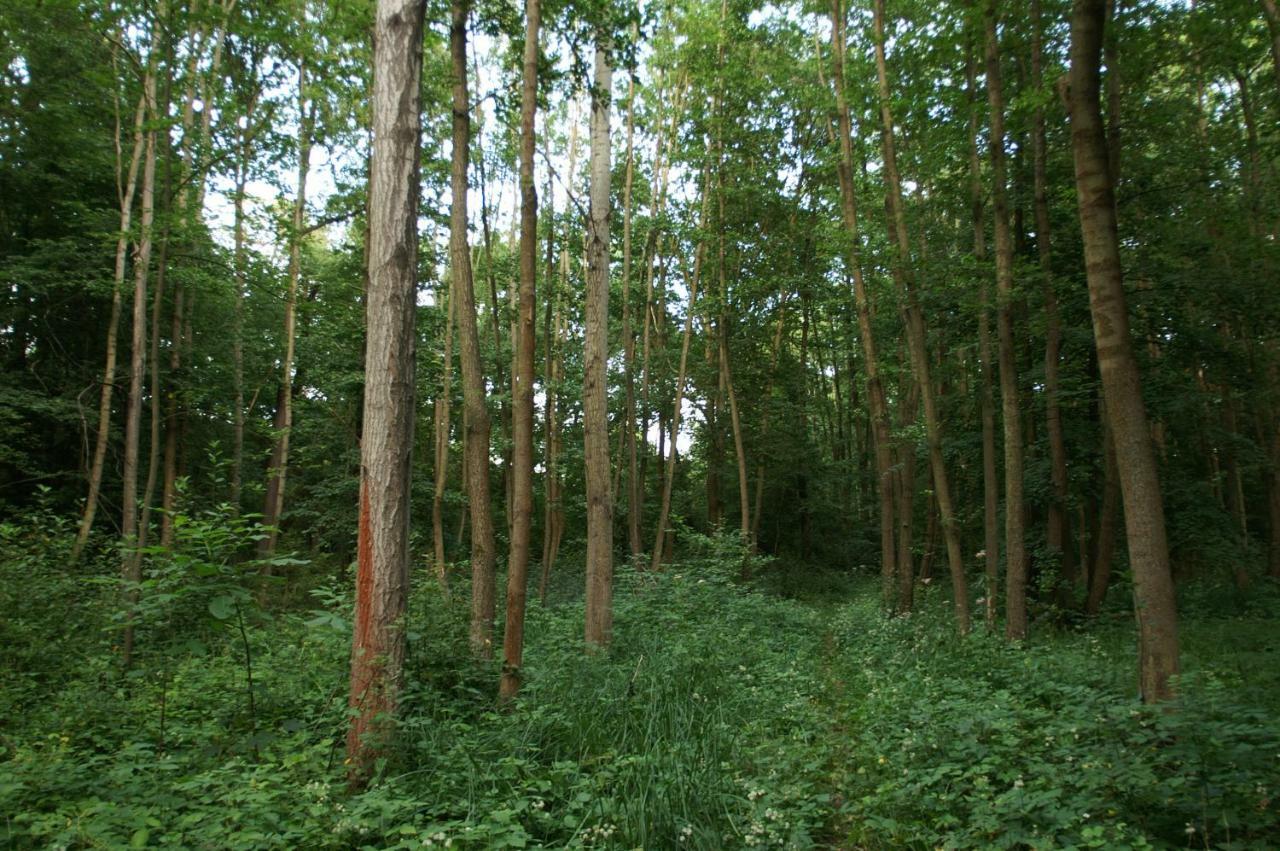 Podkrovi S Koupelnou Svinarov Esterno foto