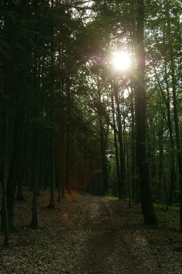 Podkrovi S Koupelnou Svinarov Esterno foto